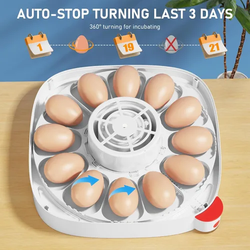 Vista 5 de Sailnovo incubadora de huevos para incubar pollo para niño