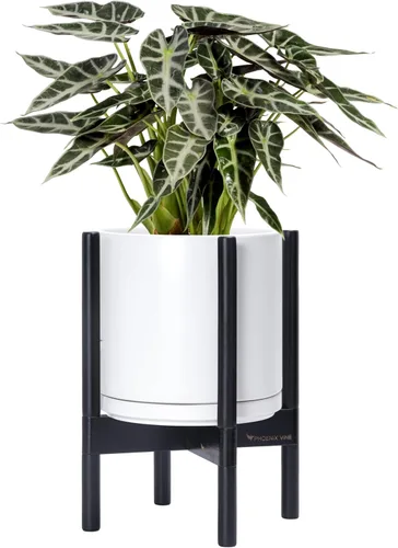 Vista 109 de D'vine Dev Maceta de cerámica con soporte de ébano – Maceta redonda moderna de 8 pulgadas con soporte para maceta de madera, color negro, 55-B-M-2