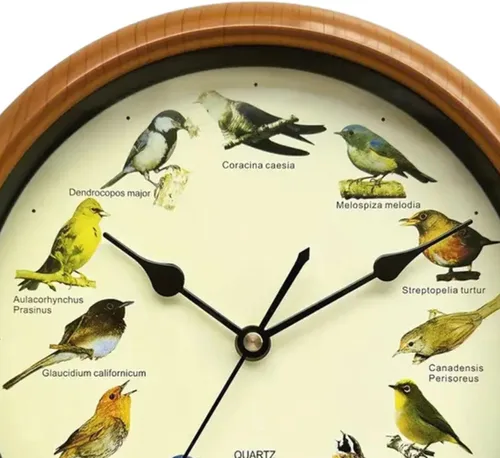 Vista 4 de Generic Reloj de pared de pájaro - Reloj colgante decorativo con sonido para cocina, 10.0x10.0x1.8 in, marrón