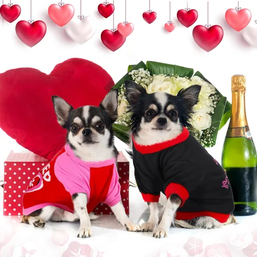 Vista 5 de Weewooday 5 piezas de camisa a granel para perro, ropa de corazones rosados, camisas para mascotas para perros pequeños, hembras, perros, ropa