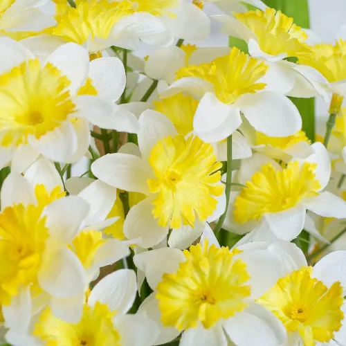 Vista 2 de Factory Direct Craft Grupo de 2 arbustos de narcisos artificiales blancos y amarillos para decoración de primavera y arreglos de Pascua