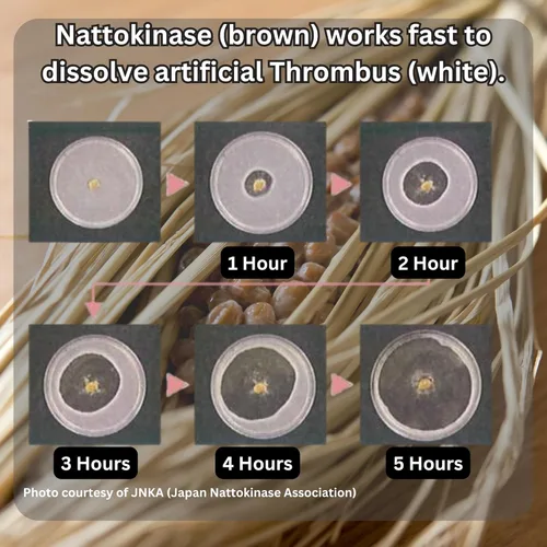 Vista 4 de Nattokinase 2,000 FU and Kefir Supplement - Made in Japan - Patented Double Edged Support for Cardiovascular and Circulatory System (30 Capsules)