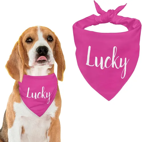 Vista 14 de Bandana personalizada para perro con nombre de poliéster, bandana personalizada para perro, triángulo, bufanda personalizada para mascotas