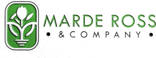 Vista 4 de Morris Heading Collard Seeds - Hojas deliciosas parecidas a la col azul-verde