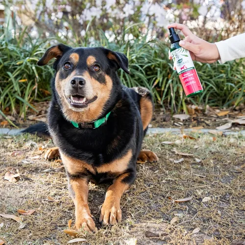 Vista 4 de Ark Naturals Neem Protect Spray, alivia la picazón y la irritación en gatos y perros, botella de spray de 8 onzas