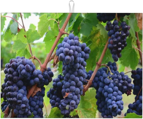 Vista 23 de Pan de comida con cuchara y tenedor tazas de granos de café, alfombrillas de secado de platos con temática de vinatge para encimera de cocina