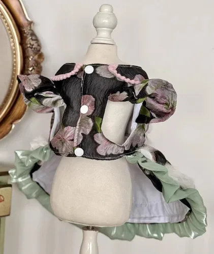 Vista 124 de Vestido de princesa con encaje, elegante para perrita mini y pequeña - Negro pequeño