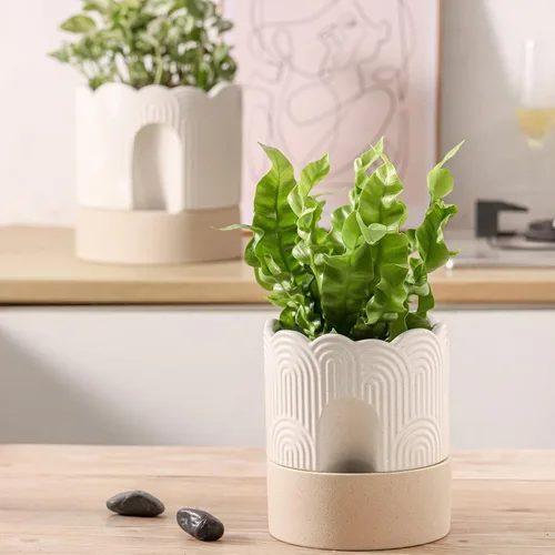 Vista 10 de Nihow Macetas de cerámica con autorriego para plantas de interior, 6 beige y marrón