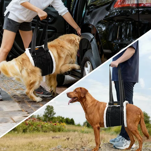 Vista 4 de LumoLeaf Arnés de elevación para perros para patas traseras, soporte ajustable para piernas traseras y ayuda de movilidad, soporte de cadera