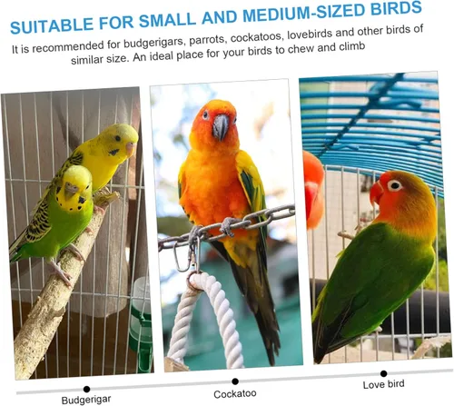 Vista 2 de Jaula de periquitos espejo para mascotas con forma acrílica canarios juguete loro, perca, flor verde, pinzón, pájaros, jaula de conure
