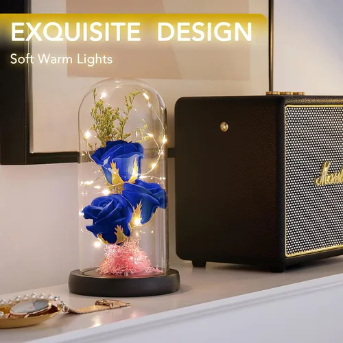 Vista 2 de Regalo de Flor Preservada, Rosa Iluminada en Cúpula de Cristal, Regalos de Flores de Rosa Eterna para Siempre para Ella, Abuela, Día de la Madre