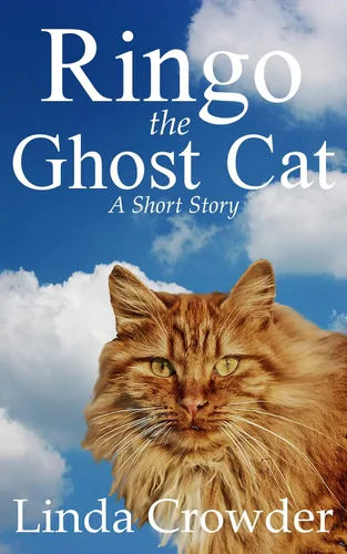 Ringo The Ghost Cat A Short Story