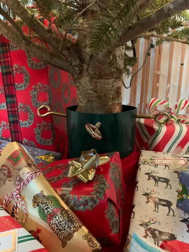 Vista 6 de Goliath Soporte de acero soldado para árbol de Navidad para árboles vivos de 5 a 12 pies