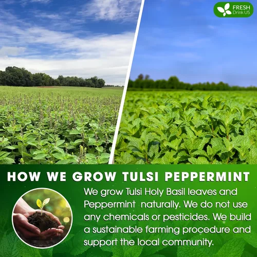 Vista 203 de FreshDrinkUS, 135 bolsas de té de jengibre y cúrcuma premium, ingredientes 100% naturales, mezcla hecha a mano de té de hierbas de cúrcuma