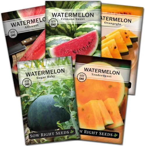 Sow Right Seeds - Colección de semillas de frutas de sandía para plantar - Melones carmesí dulce, dulce dulce, dulce de azúcar, tierno y orangeglo -
