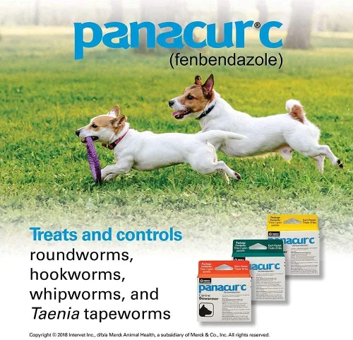 Vista 3 de Panacur C Canine Dewormer Perros 1 (3 Paquetes) Gramo Cada paquete trata 10 libras