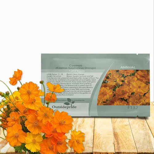 Outsidepride Orange Cosmos Sulphureus Seeds – 1000 piezas anuales, tolerantes a la sequía y aptas para polinizadores, semillas de flores para