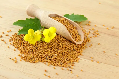 Vista 2 de Semillas de mostaza amarilla vegetal sin OMG para plantar 500 semillas