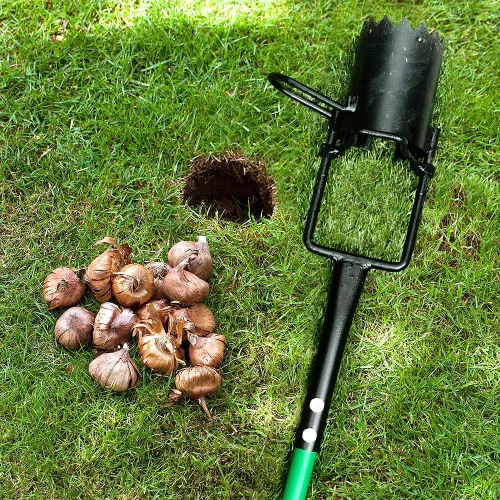 Vista 5 de Herramienta Plantadora de Bulbos, Sacabocados de Césped con Mango Largo y Base Dentada, Herramienta de Jardín 5 en 1 para Tapones de Césped